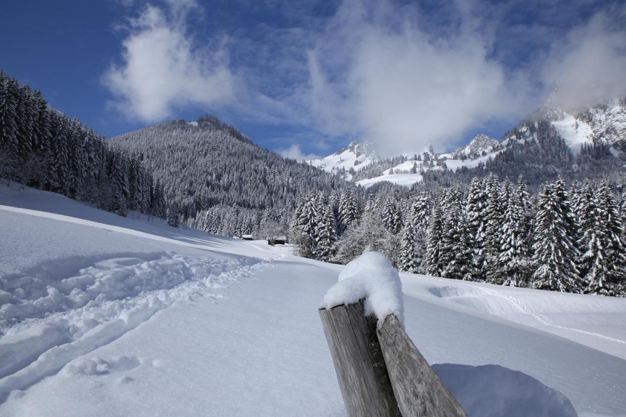Heerlijke Wandel Of Ski Vakantie In Torgon Portes Du Soleil ภายนอก รูปภาพ