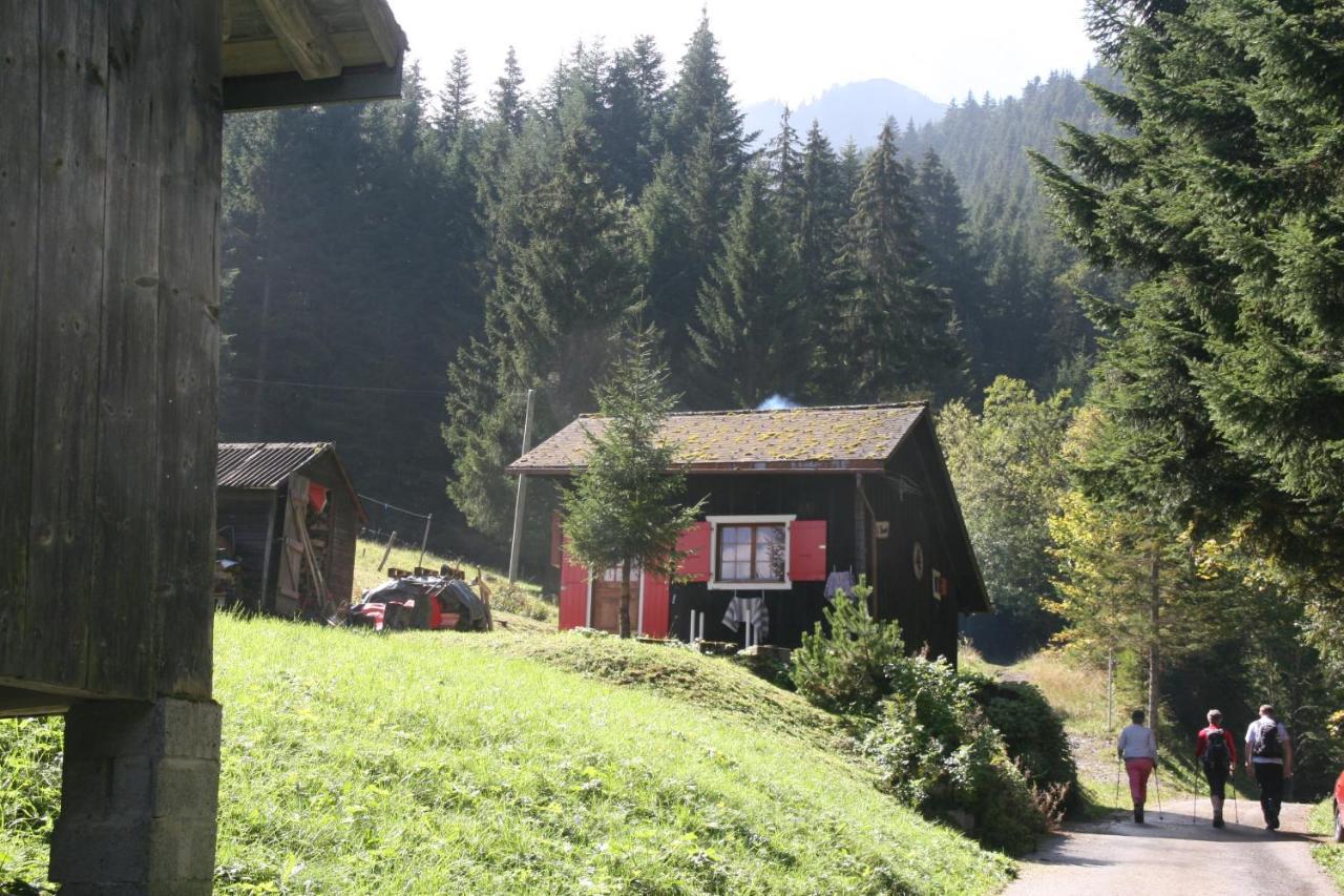 Heerlijke Wandel Of Ski Vakantie In Torgon Portes Du Soleil ภายนอก รูปภาพ